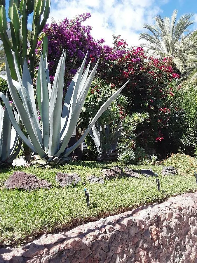 Apartment Dom Elena Apartamentos Surycan Maspalomas